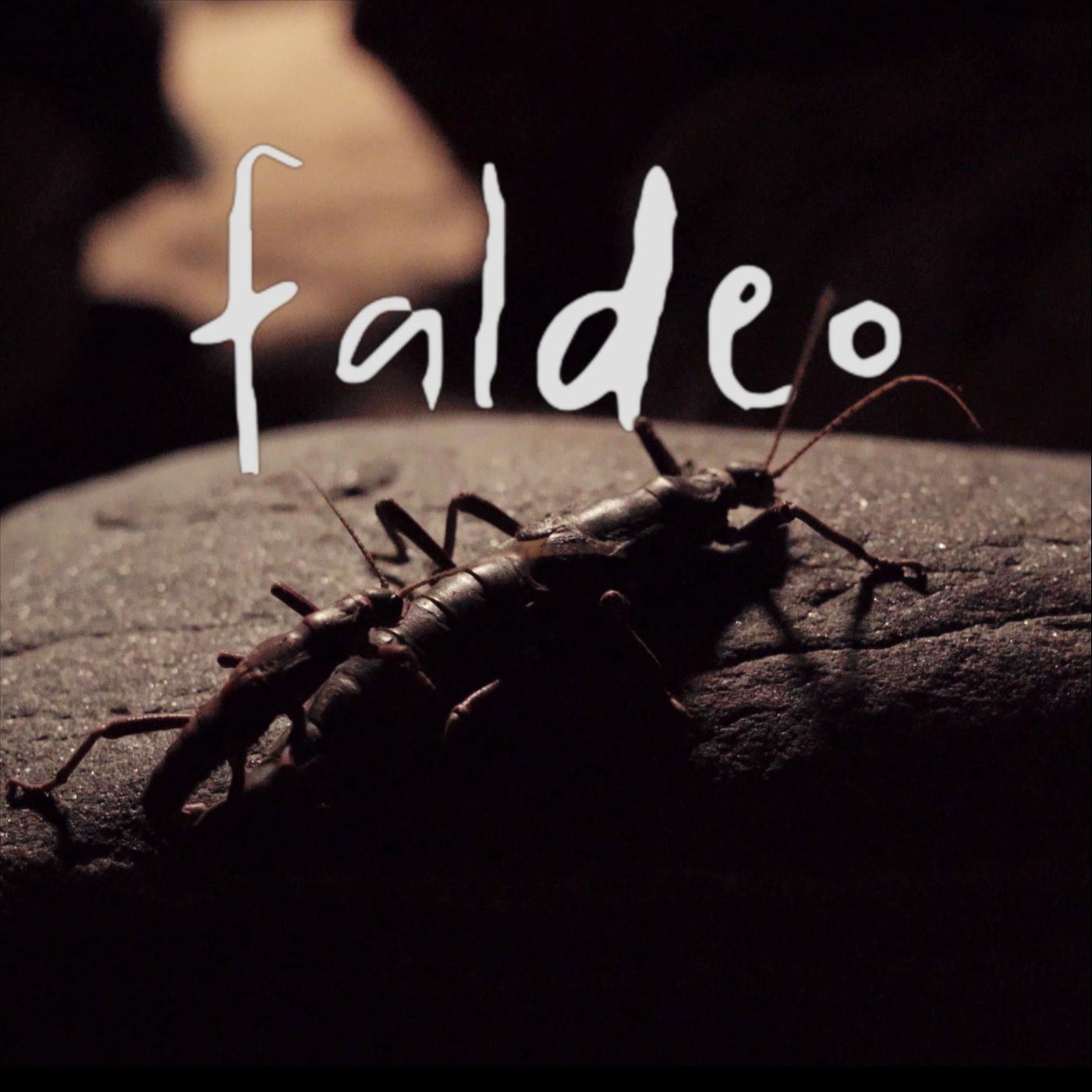 Faldeo