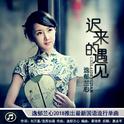 迟来的遇见专辑