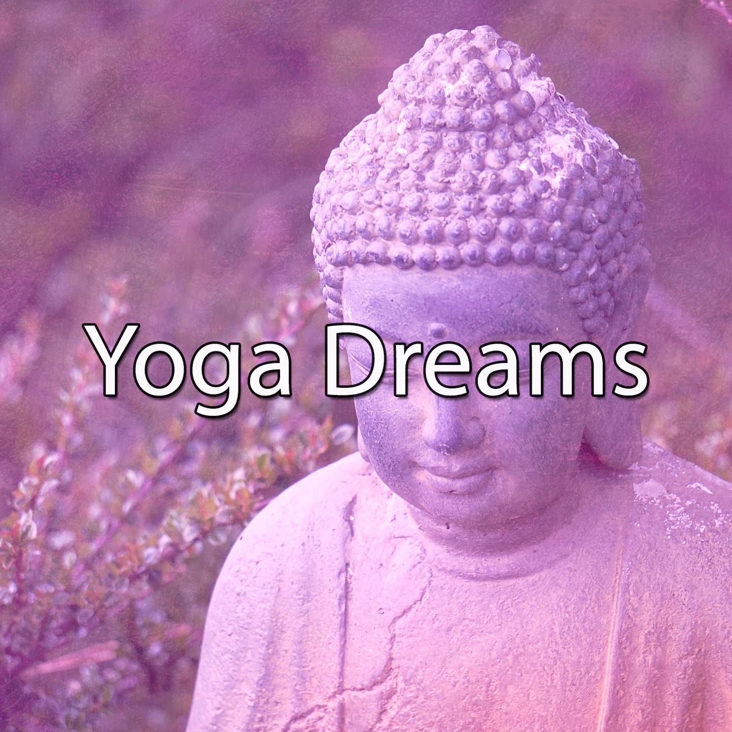 Yoga Dreams专辑