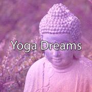 Yoga Dreams