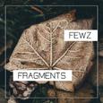 Fragments   