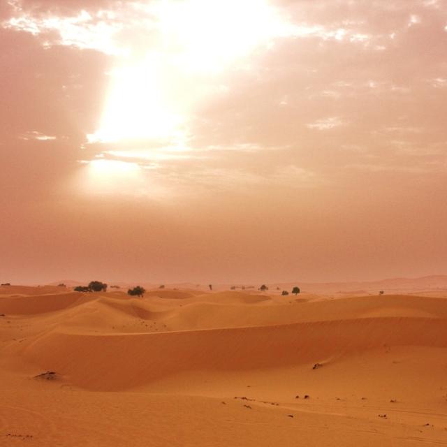 Desert Trip