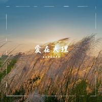 董礼 - 大理金花爱唱歌(原版立体声伴奏)