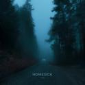 Homesick专辑