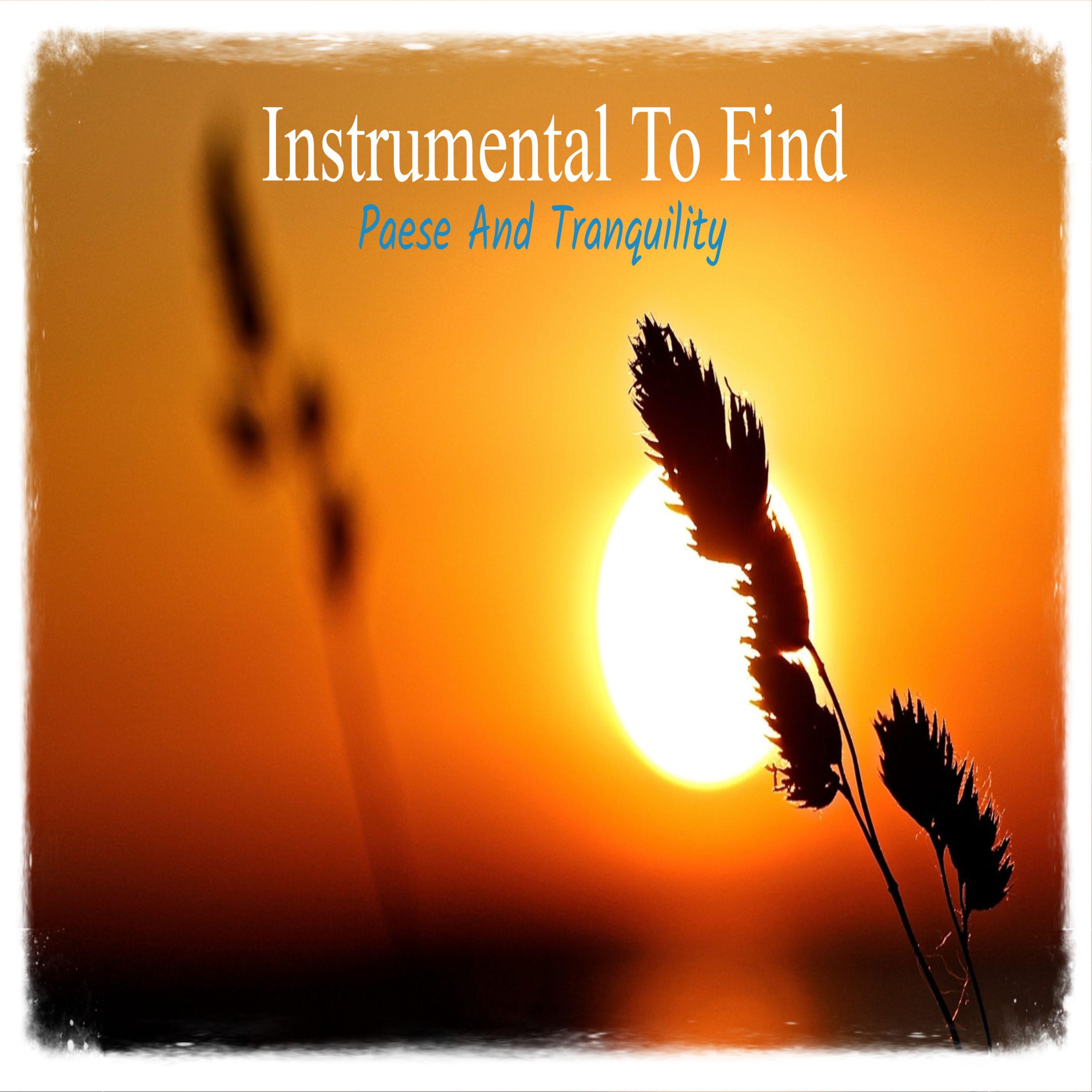 Fill Your Soul Happiness