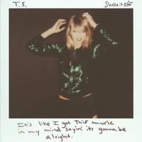 Shake It Off - Taylor Swift 重鼓力官方清晰细节和声版女歌伴奏 两段重复精简RAP 爱月