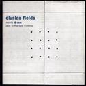 Elysian Fields meets Dj Cam专辑