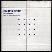 Elysian Fields meets Dj Cam