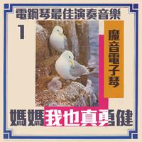 大姐《友谊蝴蝶双双飞》真笛音 低调门(1