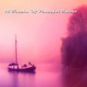 18 Tracks Of Peaceful Intent专辑