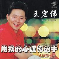 家乡 - 王宏伟 ( “绝对原版的王宏伟版本伴奏” 改良音质，音质好 )