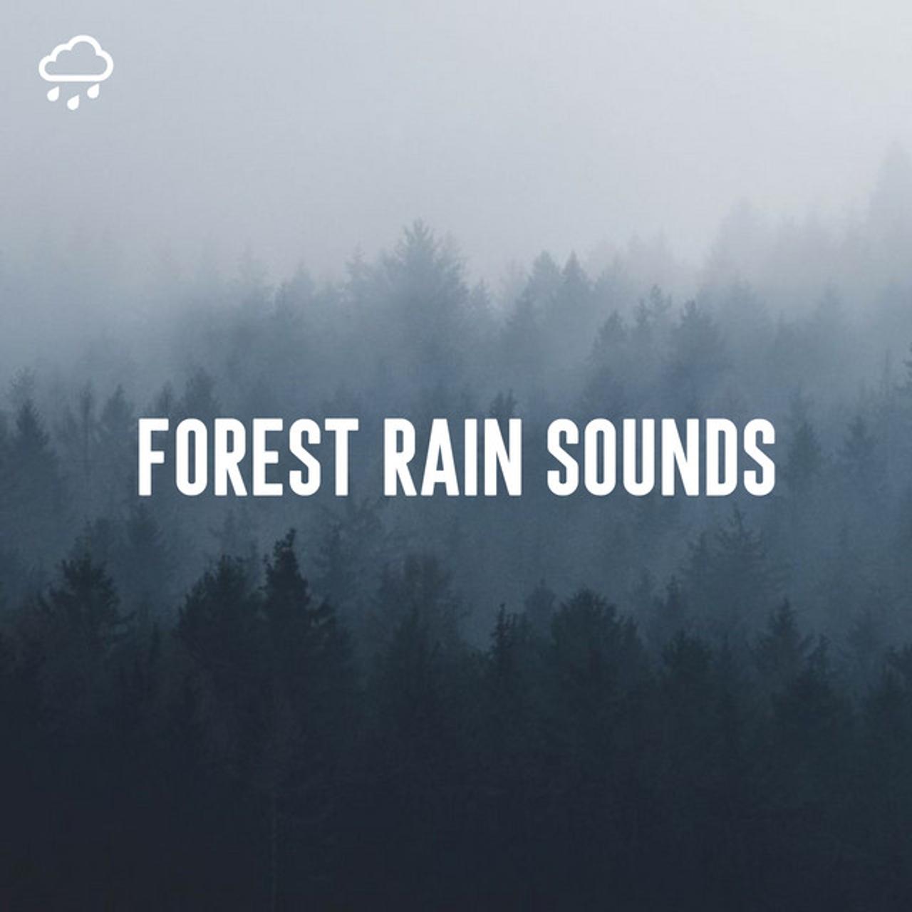 Relaxing Rain Recordings