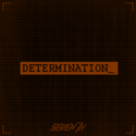 Determination