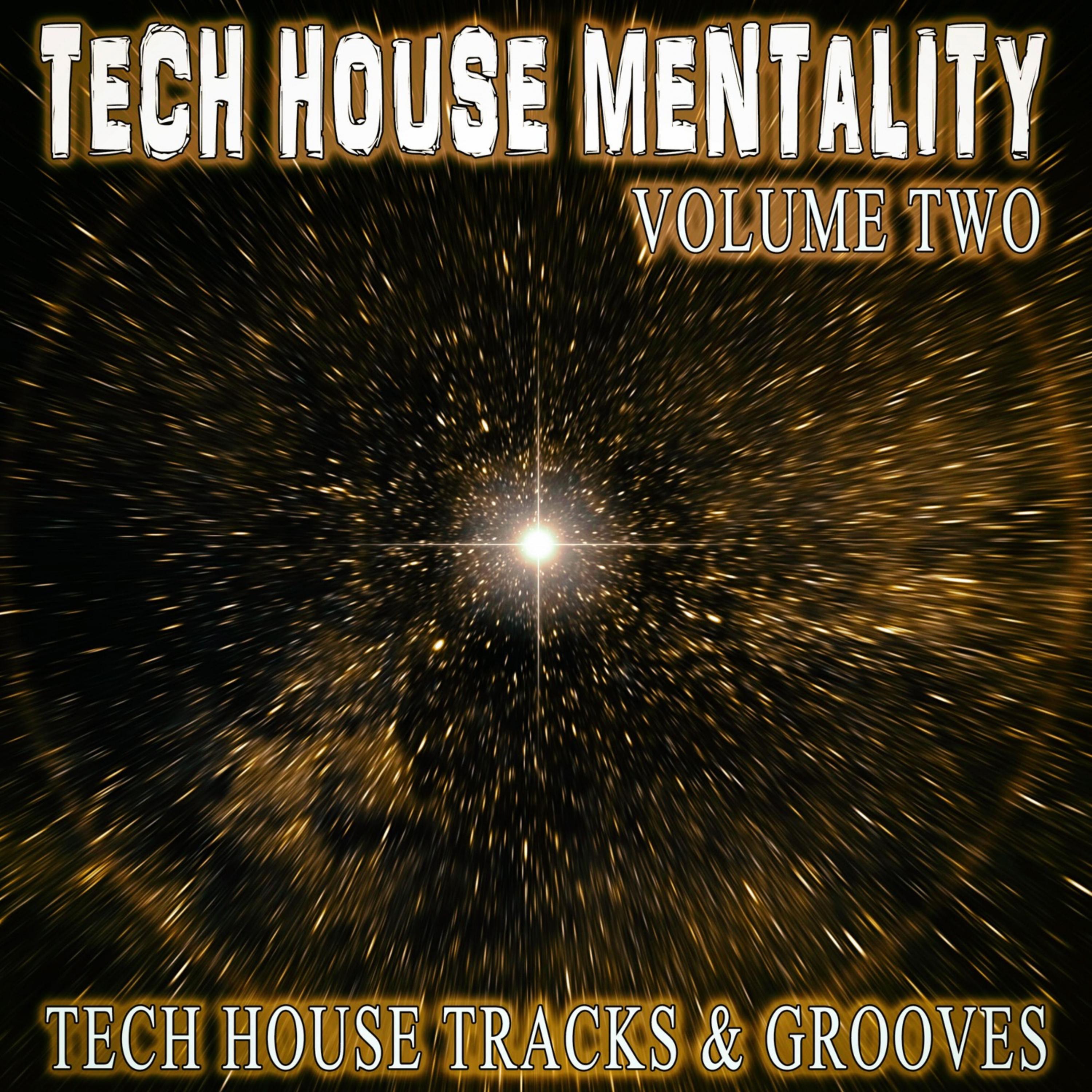 Tech Phantom - Tortuga (Techouse Mix)