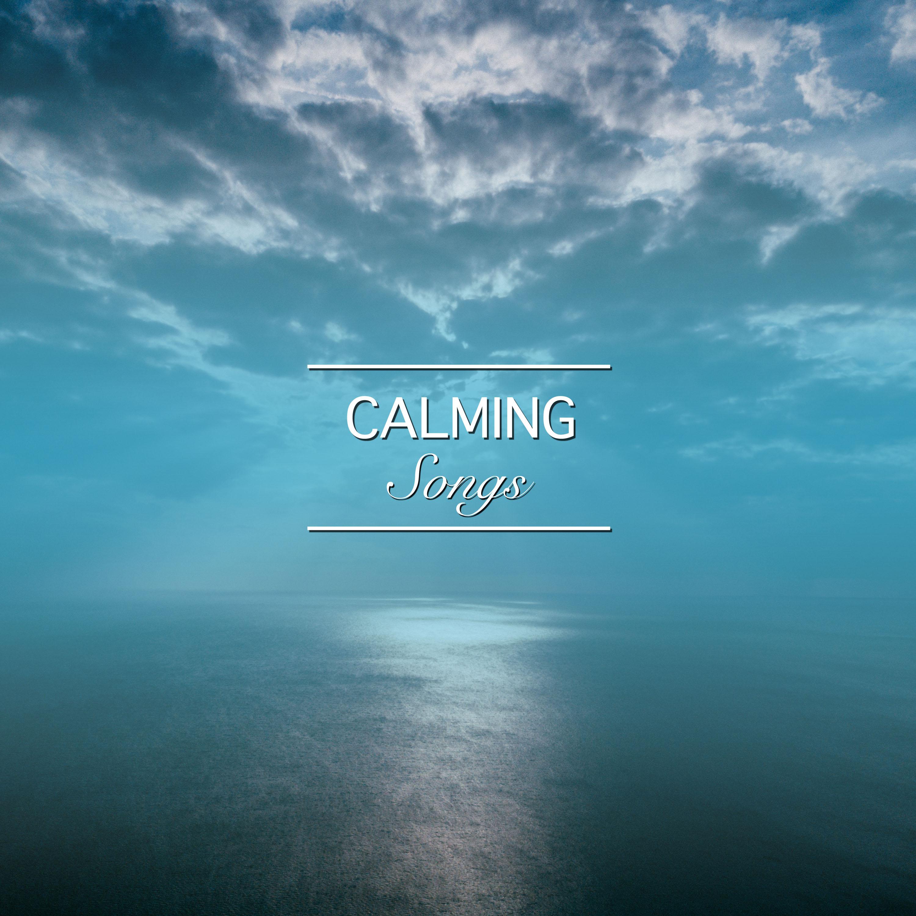 #10 Calming Songs for Meditation and Sleep专辑