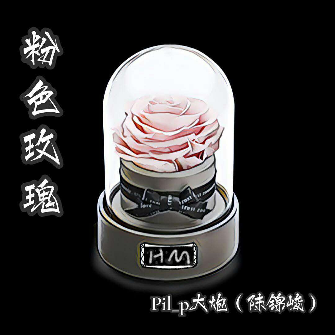 粉色玫瑰