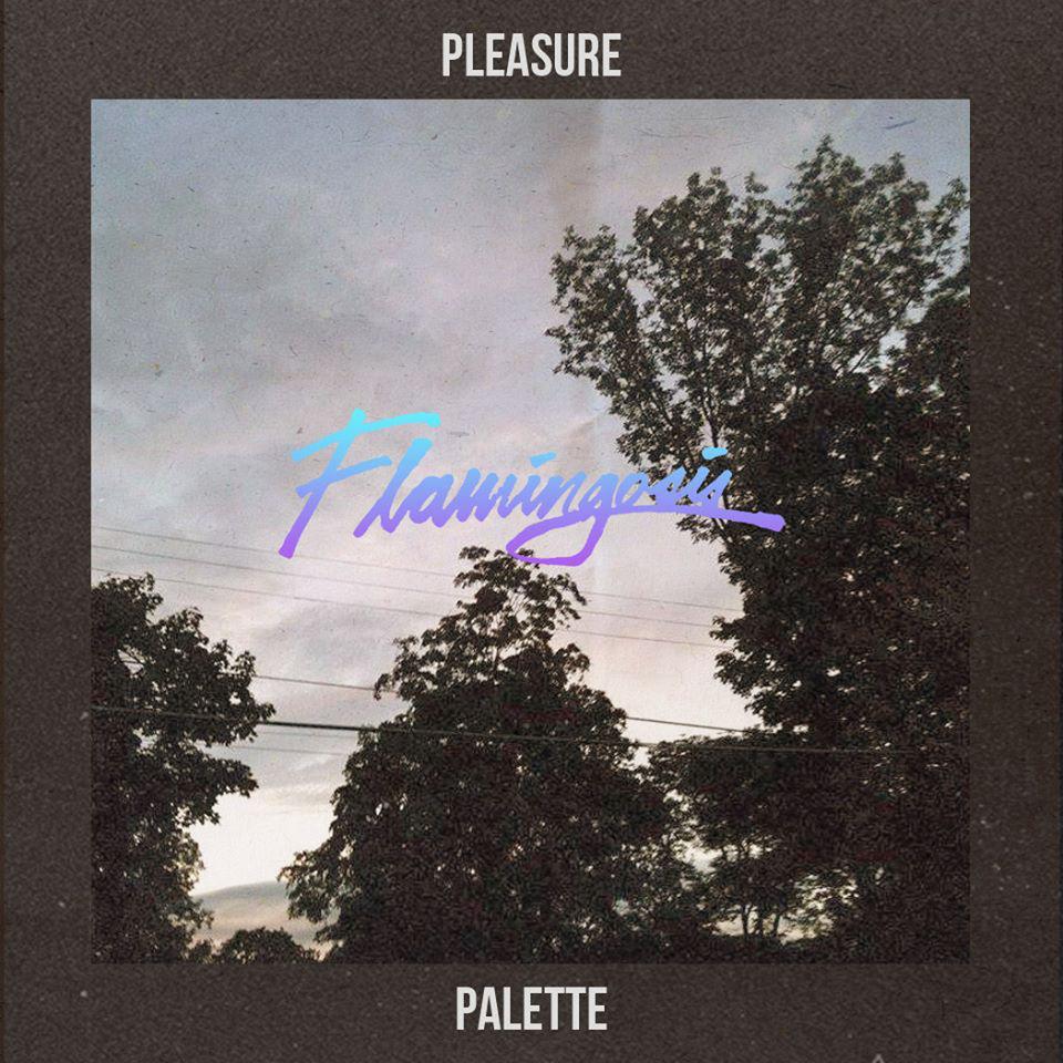 Pleasure Palette专辑