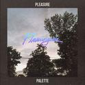 Pleasure Palette专辑