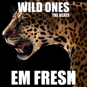 Wild Ones（Instrumental) （降2半音）