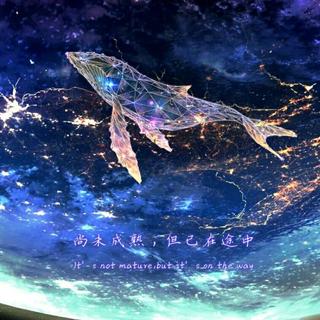 纯音乐｜学习日记VOL.6