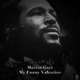 Marvin Gaye, My Funny Valentine