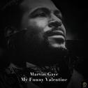 Marvin Gaye, My Funny Valentine专辑
