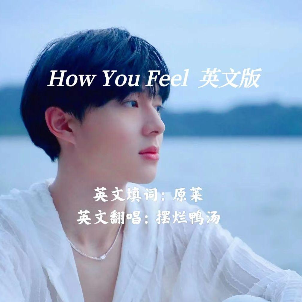 How You Feel（英文版）