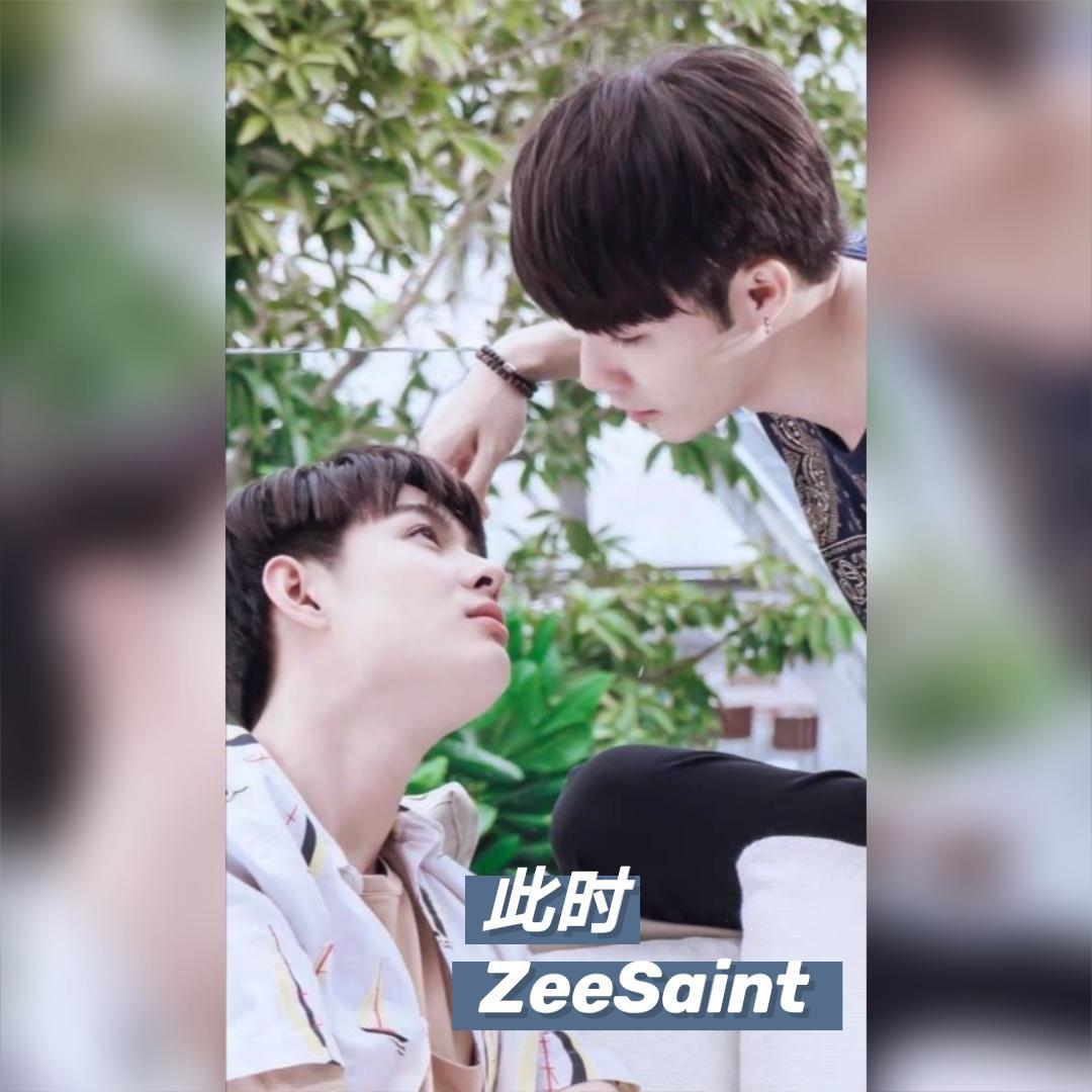此时（ZeeSaint双视角甜向）