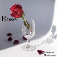 原版伴奏   Rose Garden - Lynn Anderson ( 带和声 )