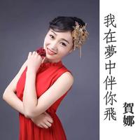 我在梦中伴你飞（女声）