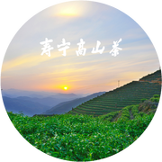 茶香寿宁