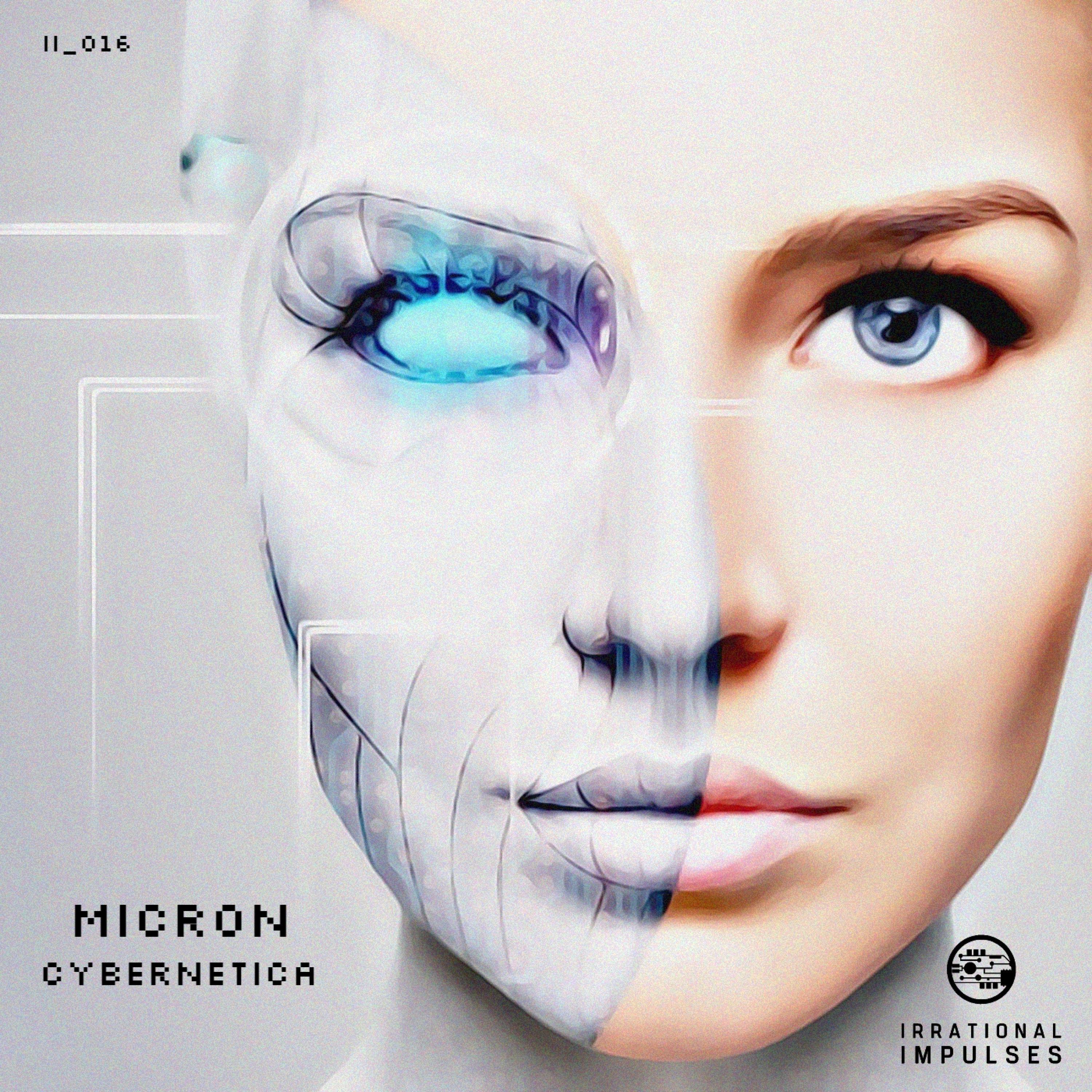 Cybernetica