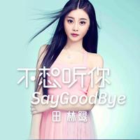 田林鹭 - 不想听你say goodbye(伴奏)