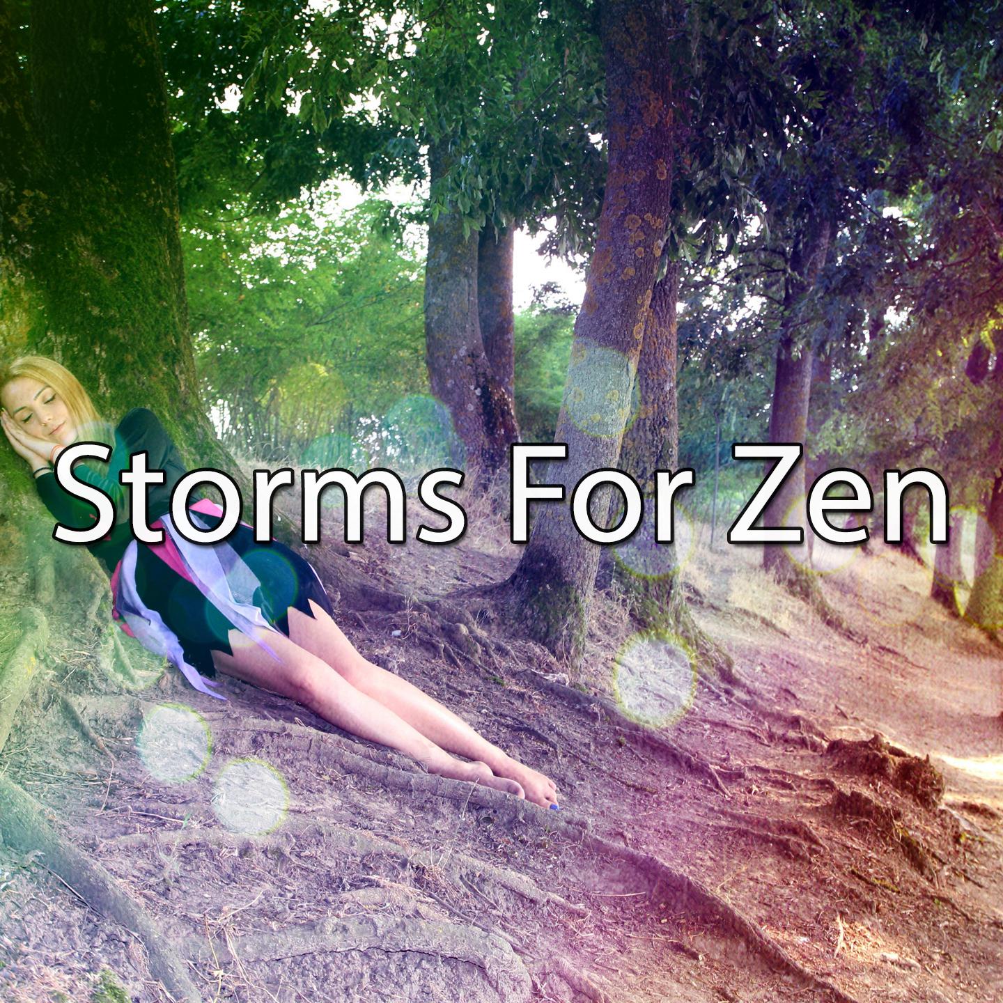 Storms For Zen专辑