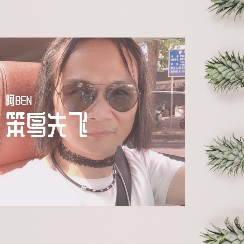 笨鸟先飞