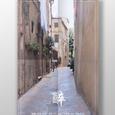醉【4p】