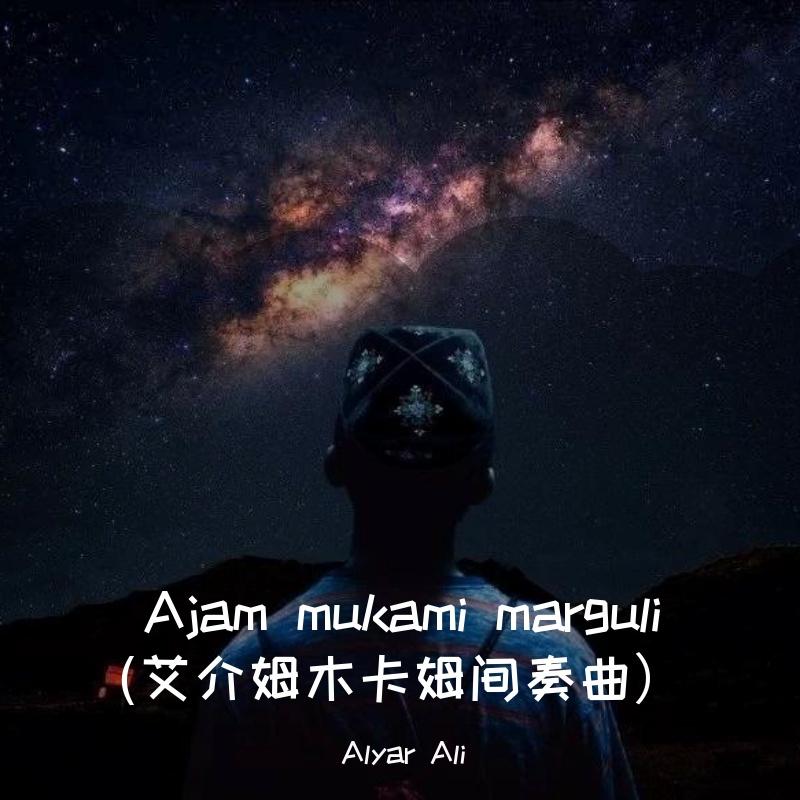 Ajam mukami marguli (艾介姆木卡姆间奏曲）