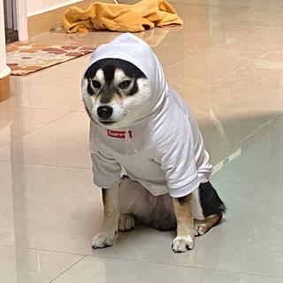 小李