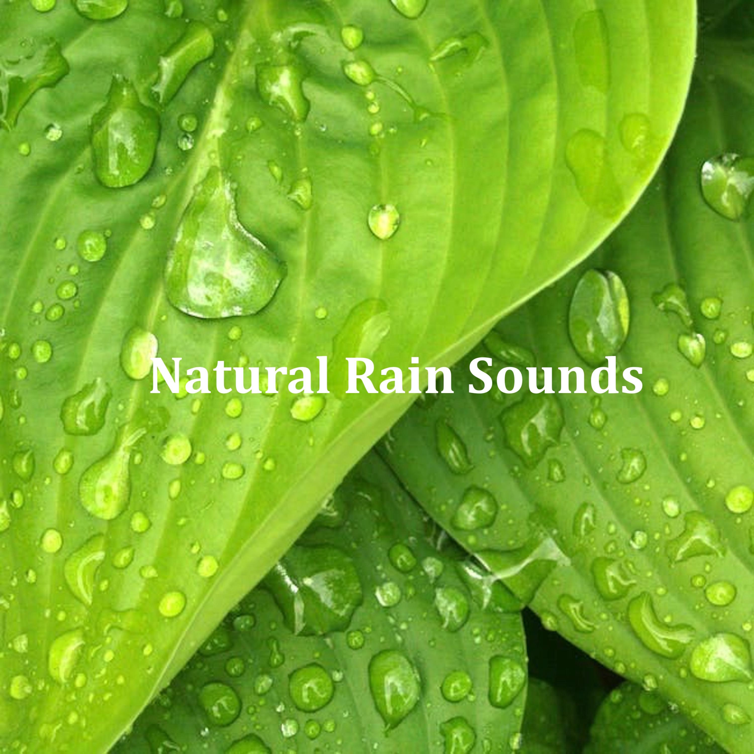 16 Ambient Rain Sounds: Natural Sounds for Stress Relief, Sleep, Anxiety and Wellbeing专辑