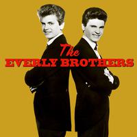 The Everly Brothers - Bye  Bye Love ( Karaoke )