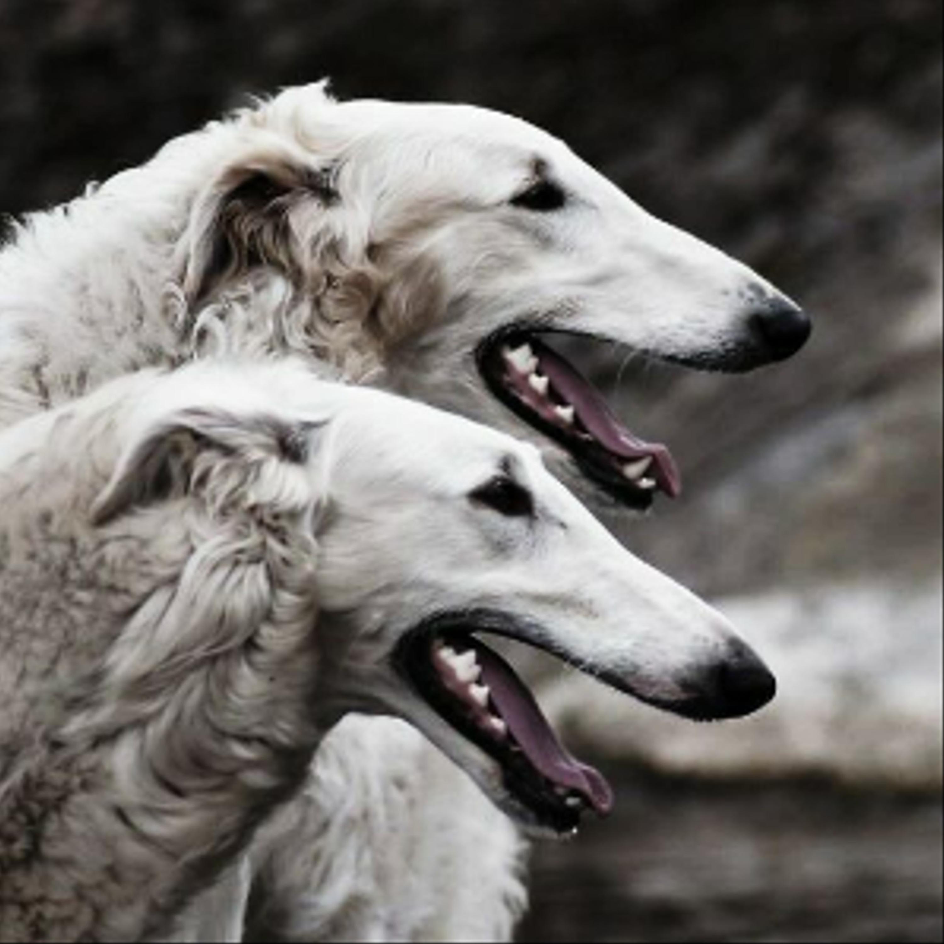 Possibly in Michigan