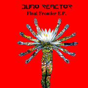 Final Frontier