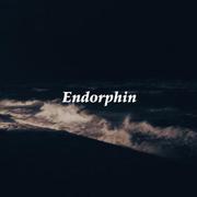 内啡肽(endorphin)