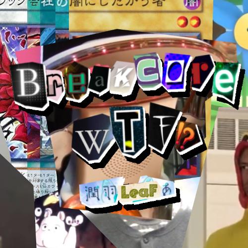 Breakcore WTF!?
