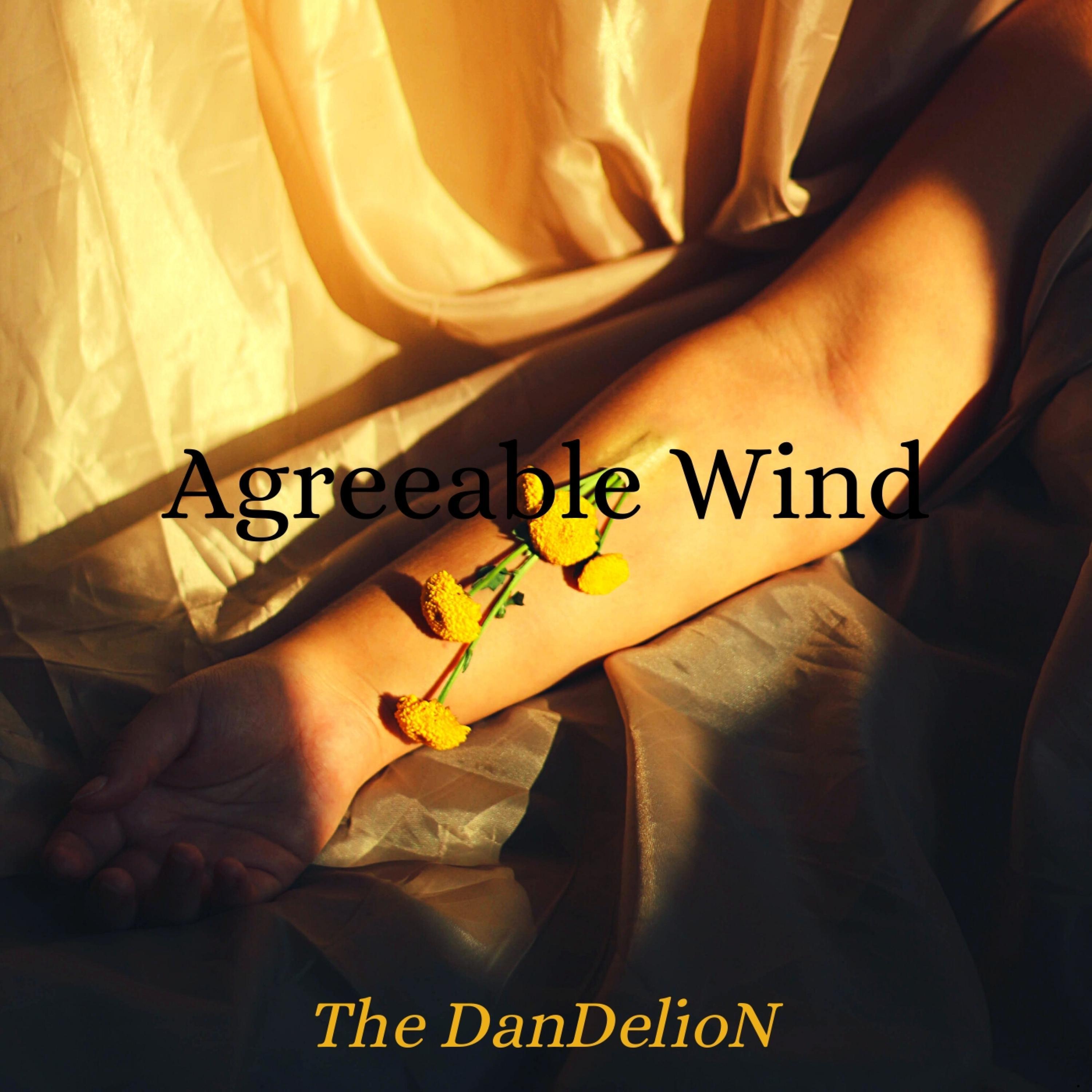 Agreeable Wind