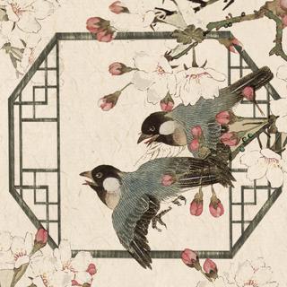 国风美少年 | 值得挖掘的惊艳原唱合集（1）