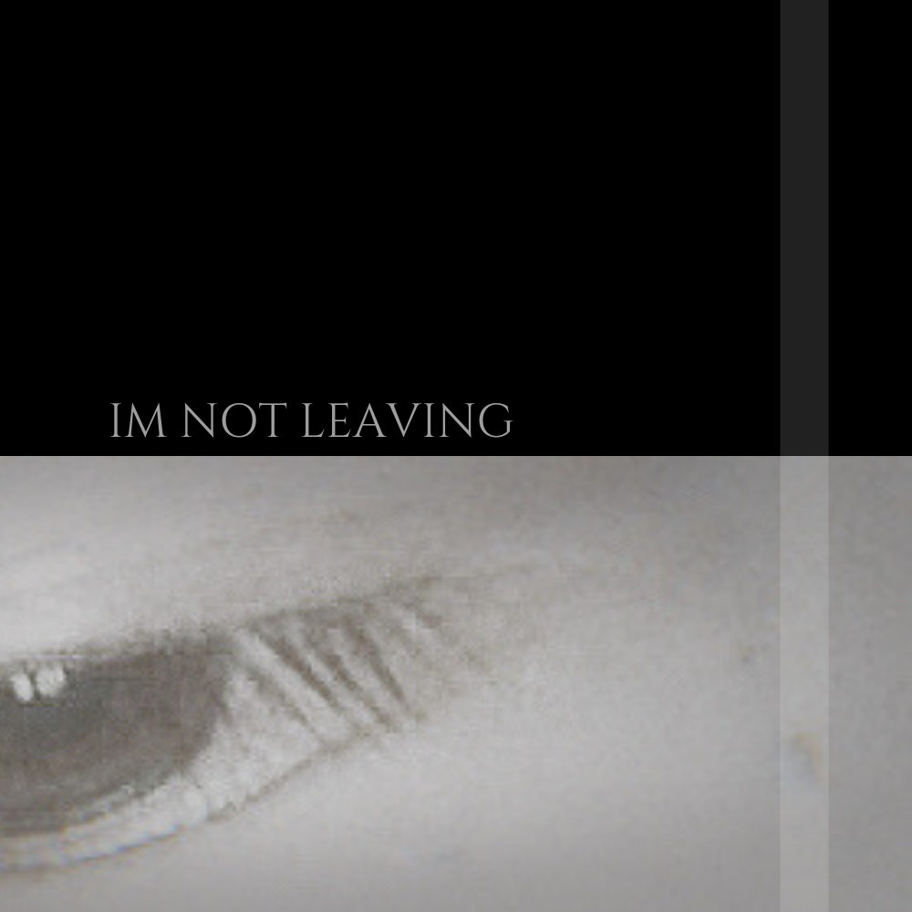 I'm not leaving专辑