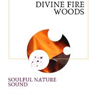 Divine Fire Woods - Soulful Nature Sound