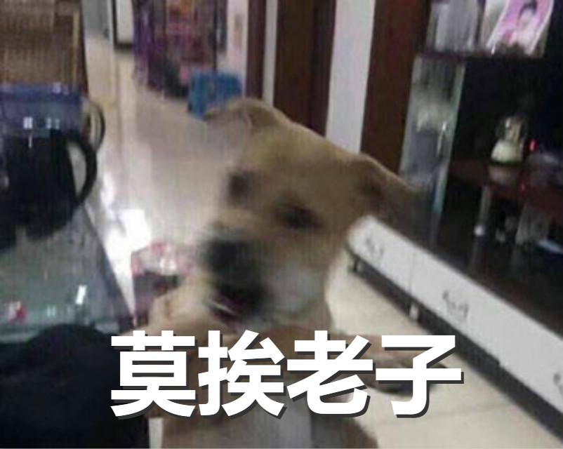 $哔辈子懂不起专辑