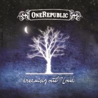 Apologize - One Republic (钢琴伴奏)